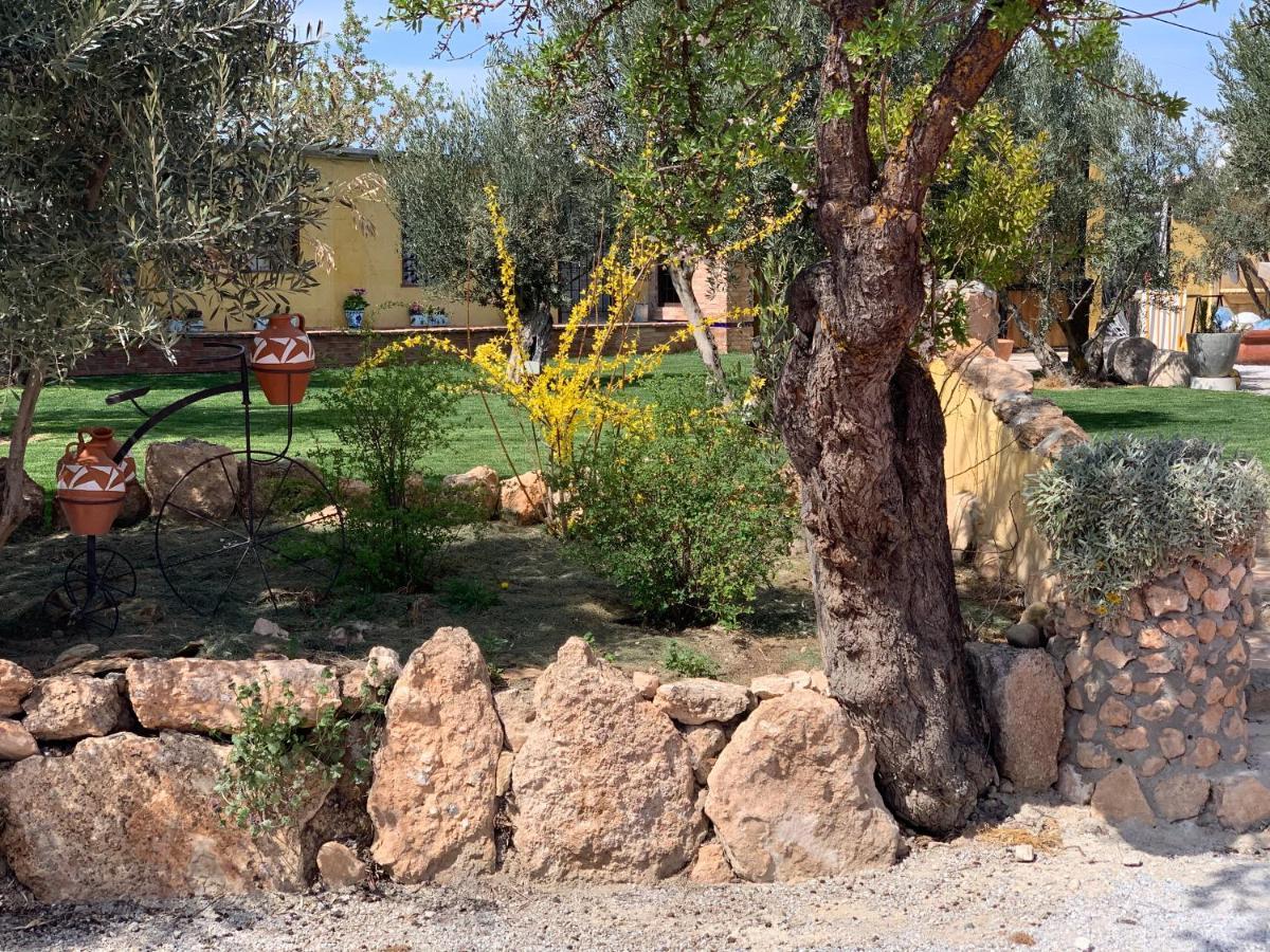 בית הארחה באזה 	Cortijo Bustamante מראה חיצוני תמונה
