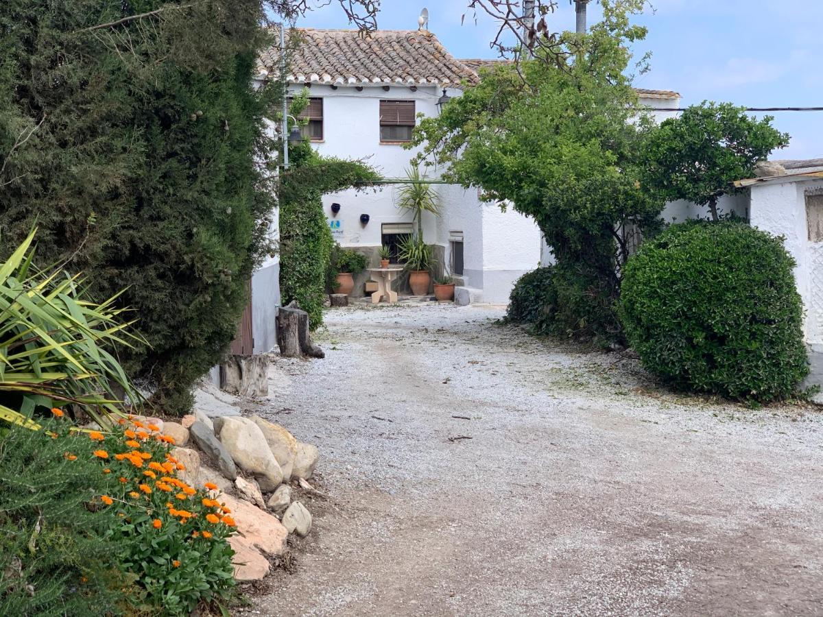 בית הארחה באזה 	Cortijo Bustamante מראה חיצוני תמונה