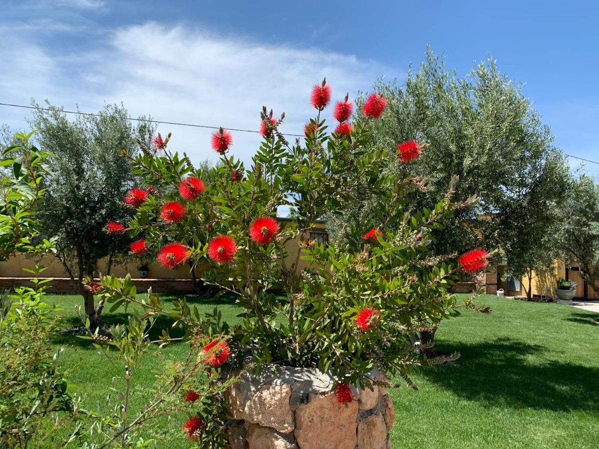 בית הארחה באזה 	Cortijo Bustamante מראה חיצוני תמונה