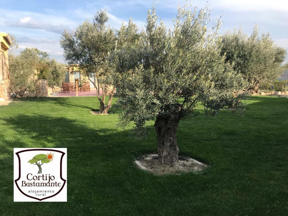 בית הארחה באזה 	Cortijo Bustamante מראה חיצוני תמונה