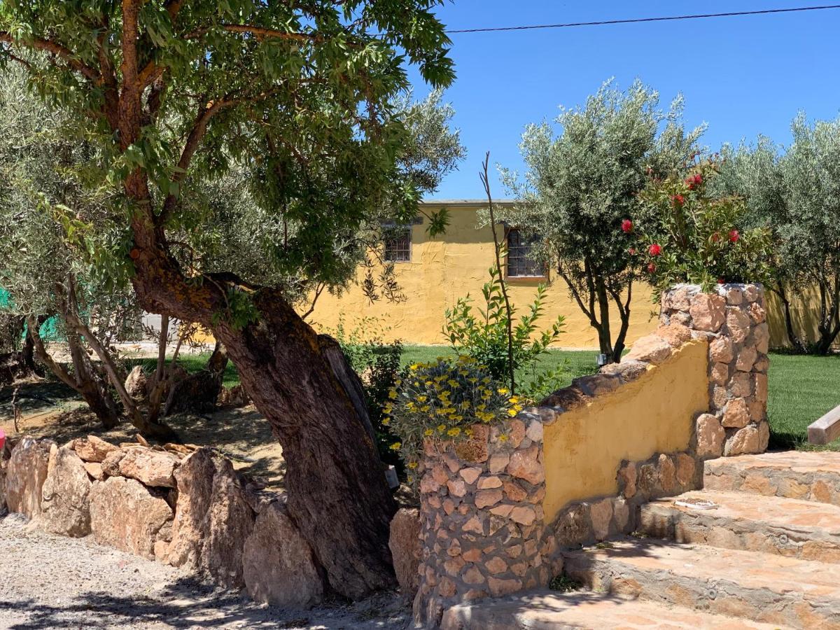 בית הארחה באזה 	Cortijo Bustamante מראה חיצוני תמונה