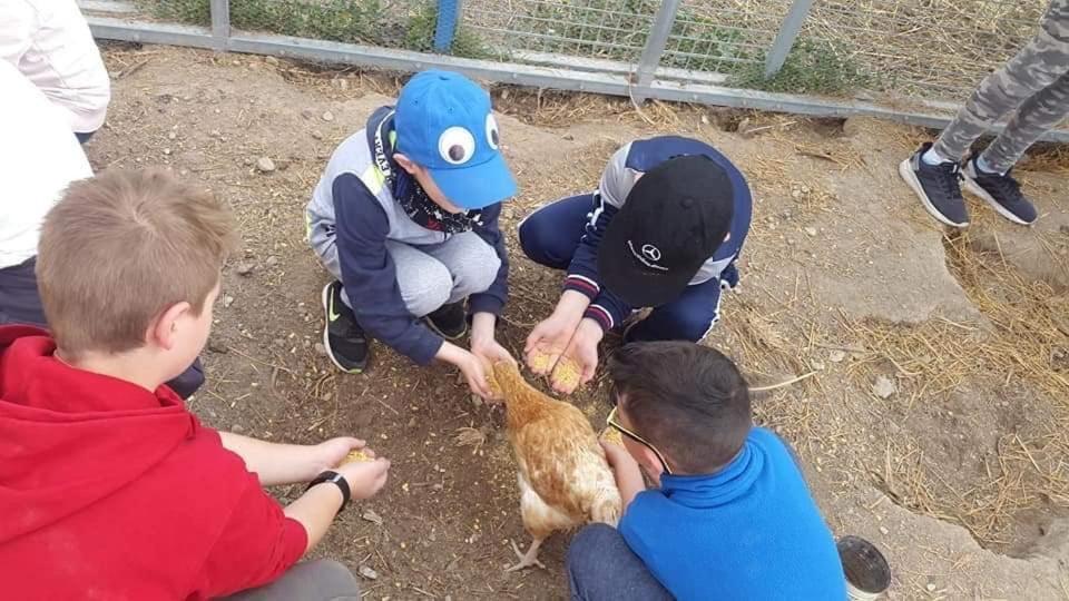בית הארחה באזה 	Cortijo Bustamante מראה חיצוני תמונה